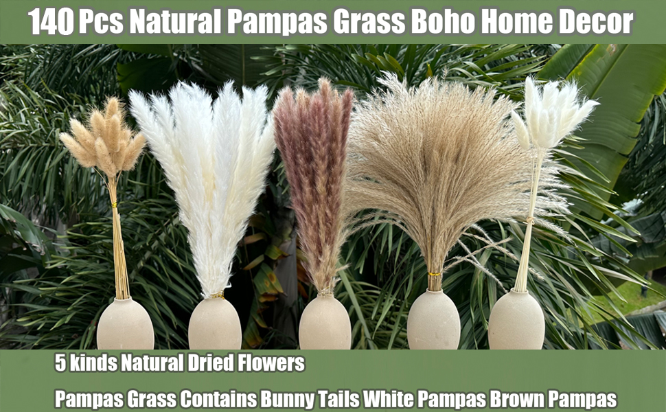 pampas