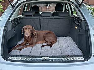 dog car bed for boot