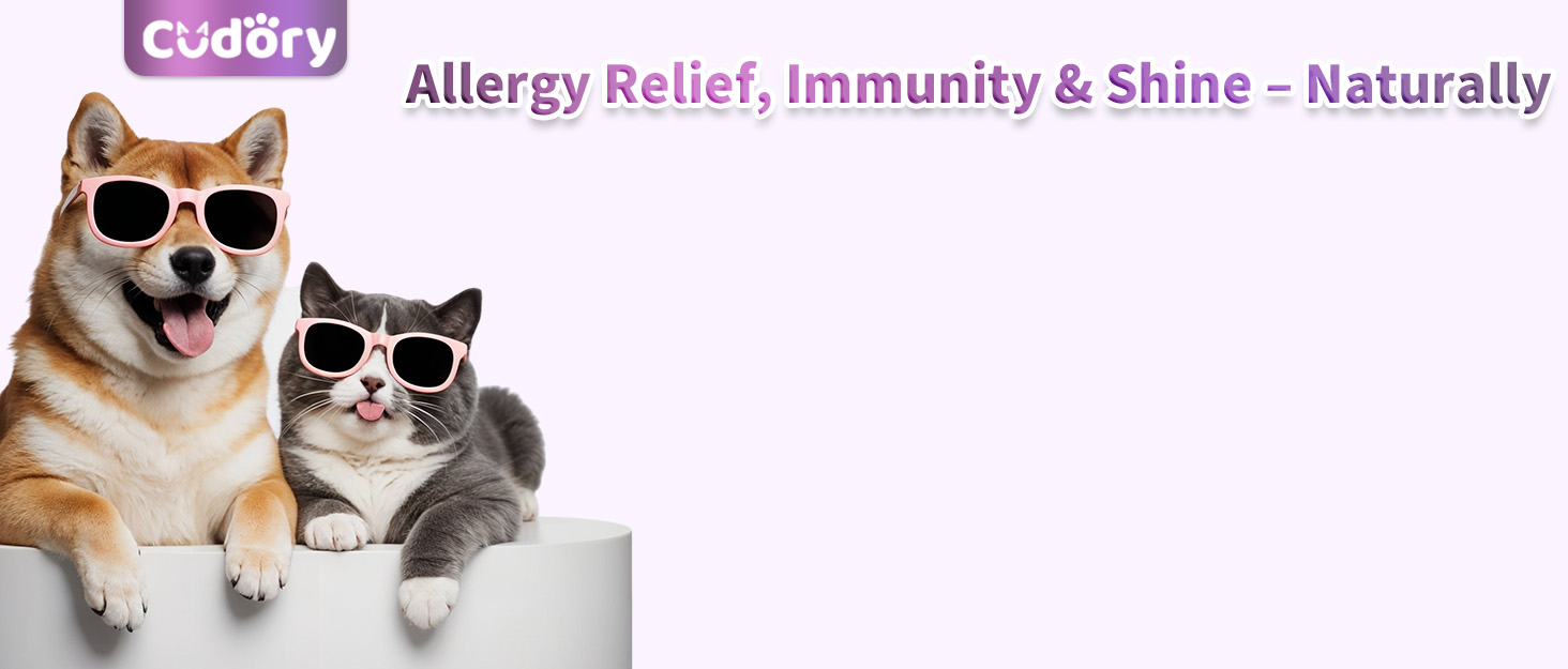 Dog Allergy Relief Drops