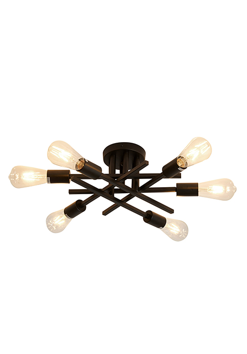 Ceiling Light
