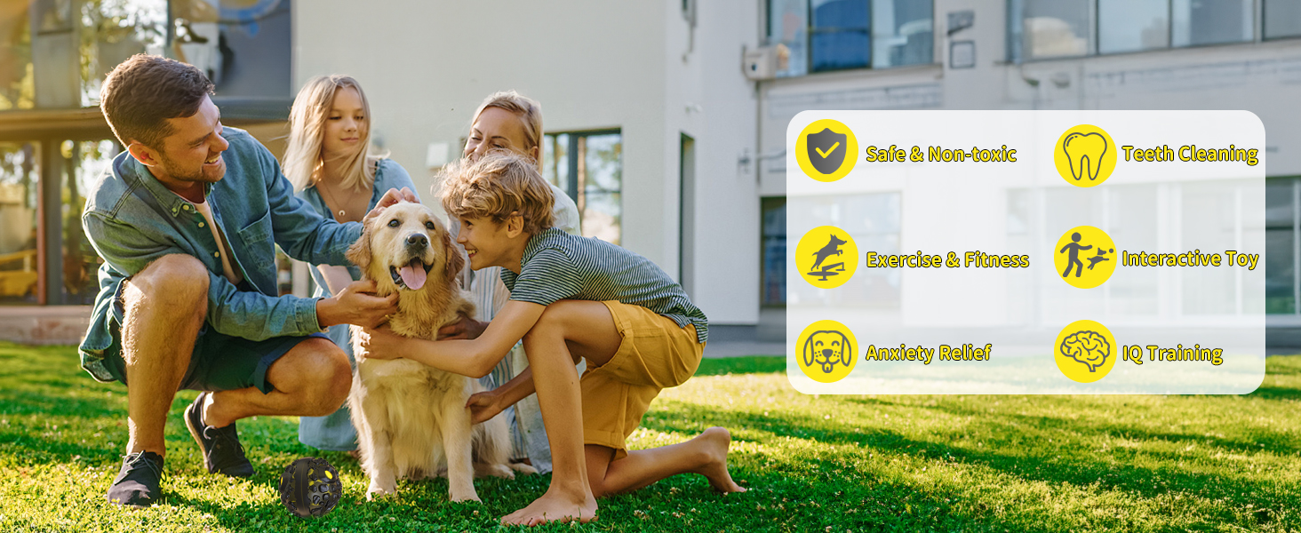 dog enrichment toy