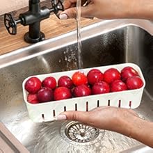 Veggie tray with lid for fridge