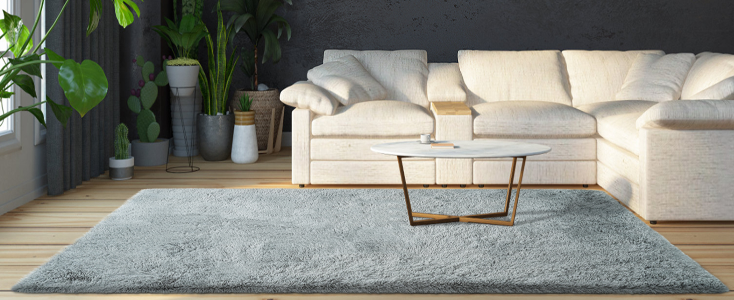 Modern Fluffy Shag Rugs for Living Room Non Slip Teens Dorm Light Grey Floor Carpets(5 x 8)  
Fluffy Grey Shaggy Rugs fo 9fd75bbc 88f2 4b5d B21a 616f7dc7fc03. CR0,0,1464,600 PT0 SX1464 V1