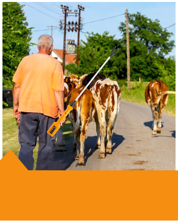 handheld cattle prod