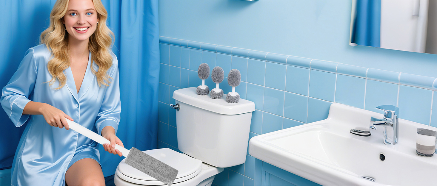pumice stone toilet bowl cleaner