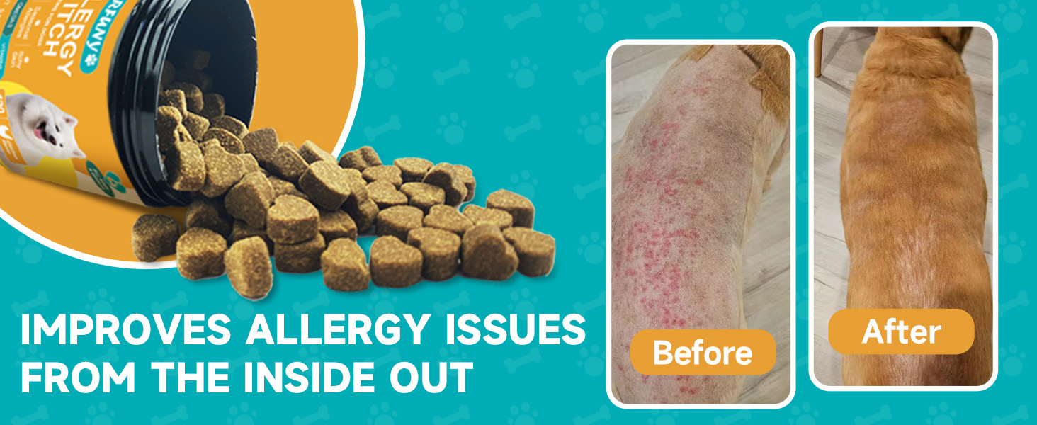 allergy chews for dogs