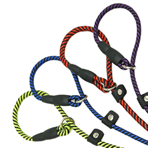 slip collar and leash 2 in 1