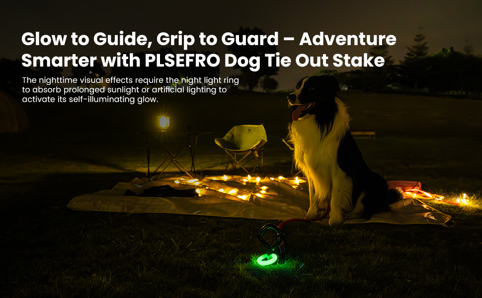 reflective safety in darkness 360° Glow Visibility for easy outdoor use dog tie out stake