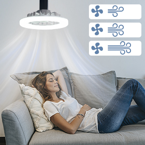 LED fan light
