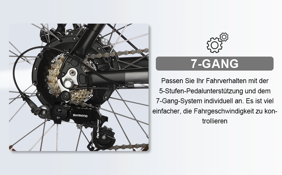 ebike 5
