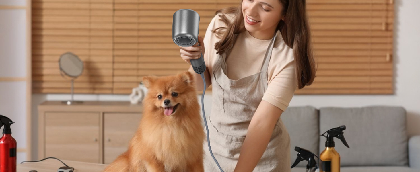 Hair Dryer Diffuser Best High Speed Blow dryer Negative Ion Heat Control Women Pet Quiet Fast Drying
