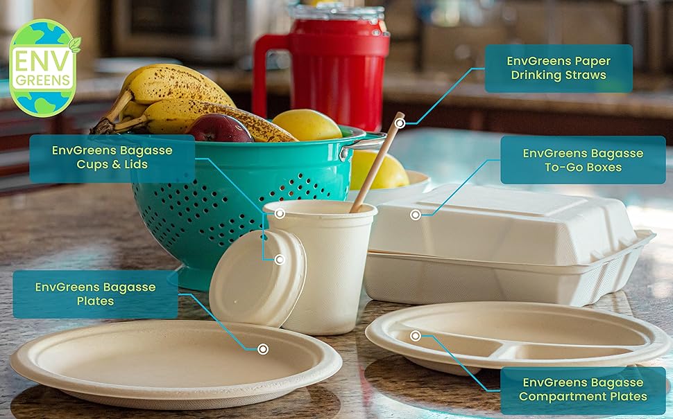 EnvGreens Paper Drinking Straws Bagasse To-Go Boxes 