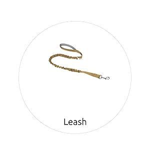 A+ Leash