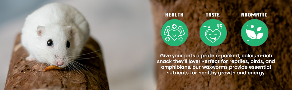 Waxworms Fishing Bait Feeder Insects Reptile Food Live Worms Amphibian Food