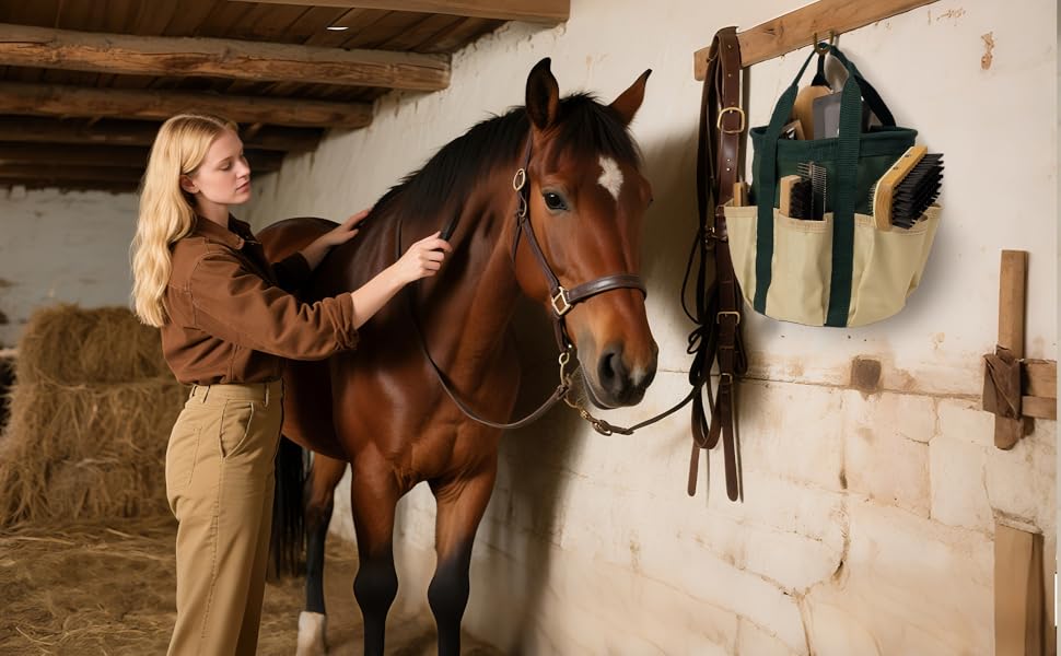 horse grooming kit