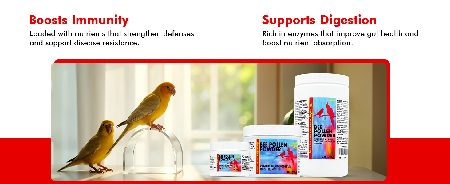 bird vitamins and supplements bird for cardinals finches high protein