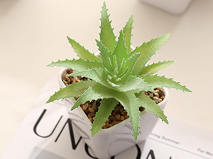 Small manufacture image 4