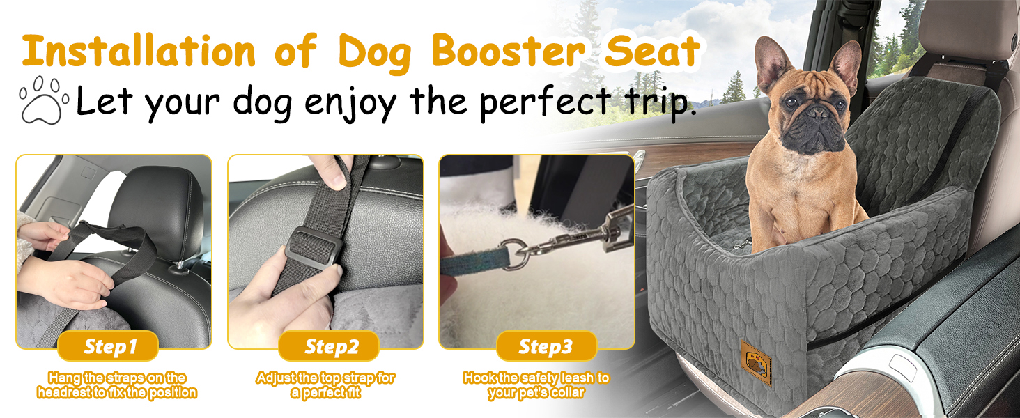 dog car seat