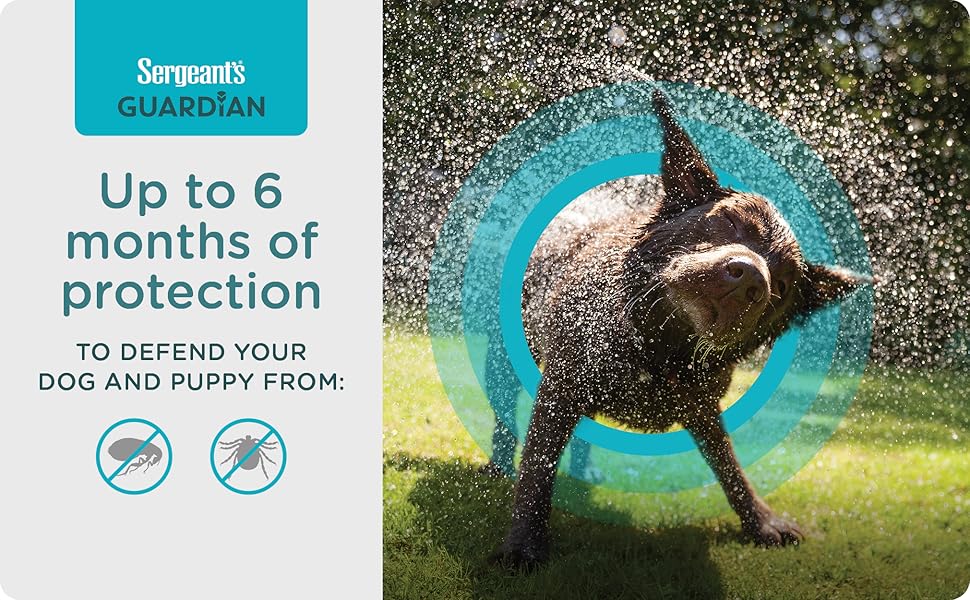 Sergeant's Guardian Flea & Tick Collar for Dogs, 1 Count