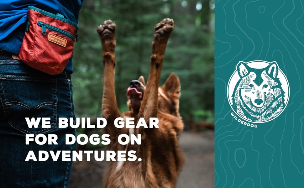 we build gear for dogs on adventures