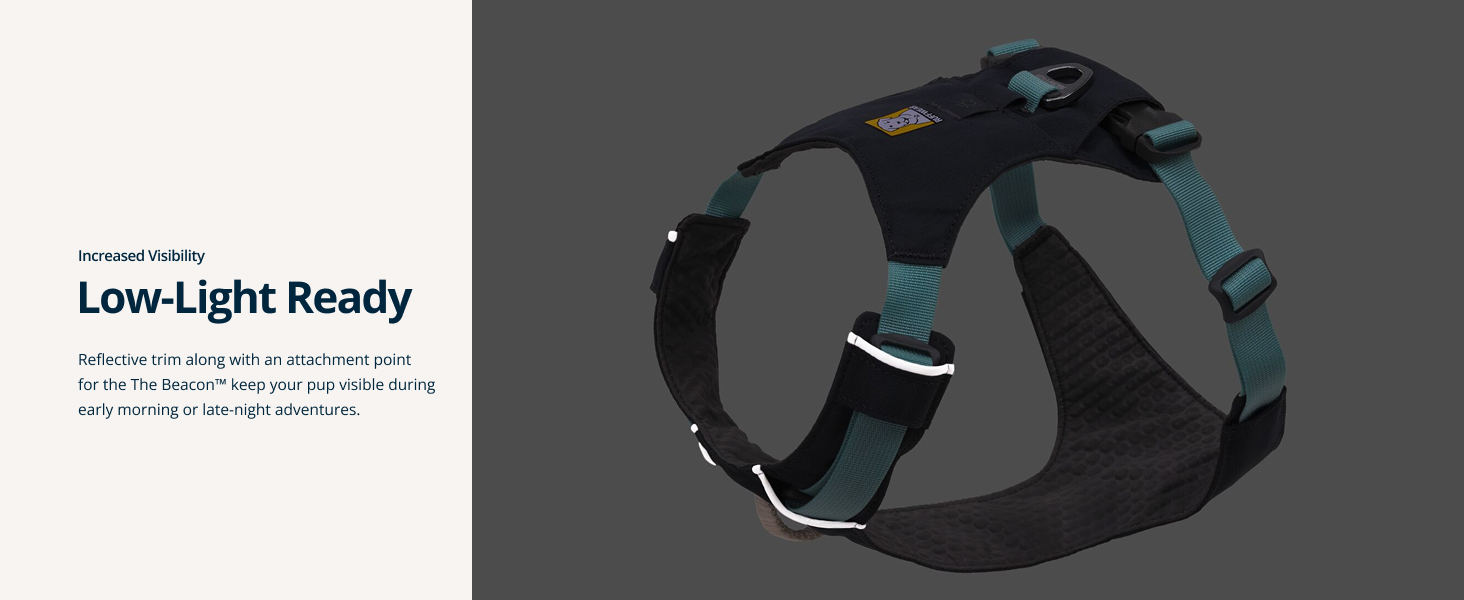 Mini dachshund harness with low-profile design, ideal for long-bodied, small-frame pups.