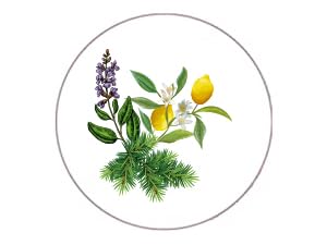 healthy poliplant complex