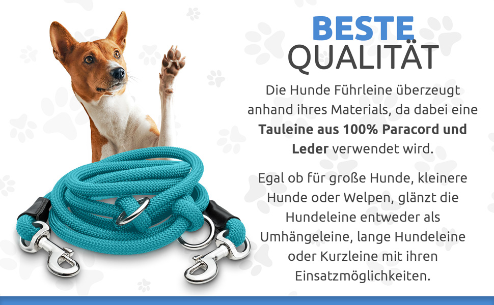 Qualität der Hundeleine 