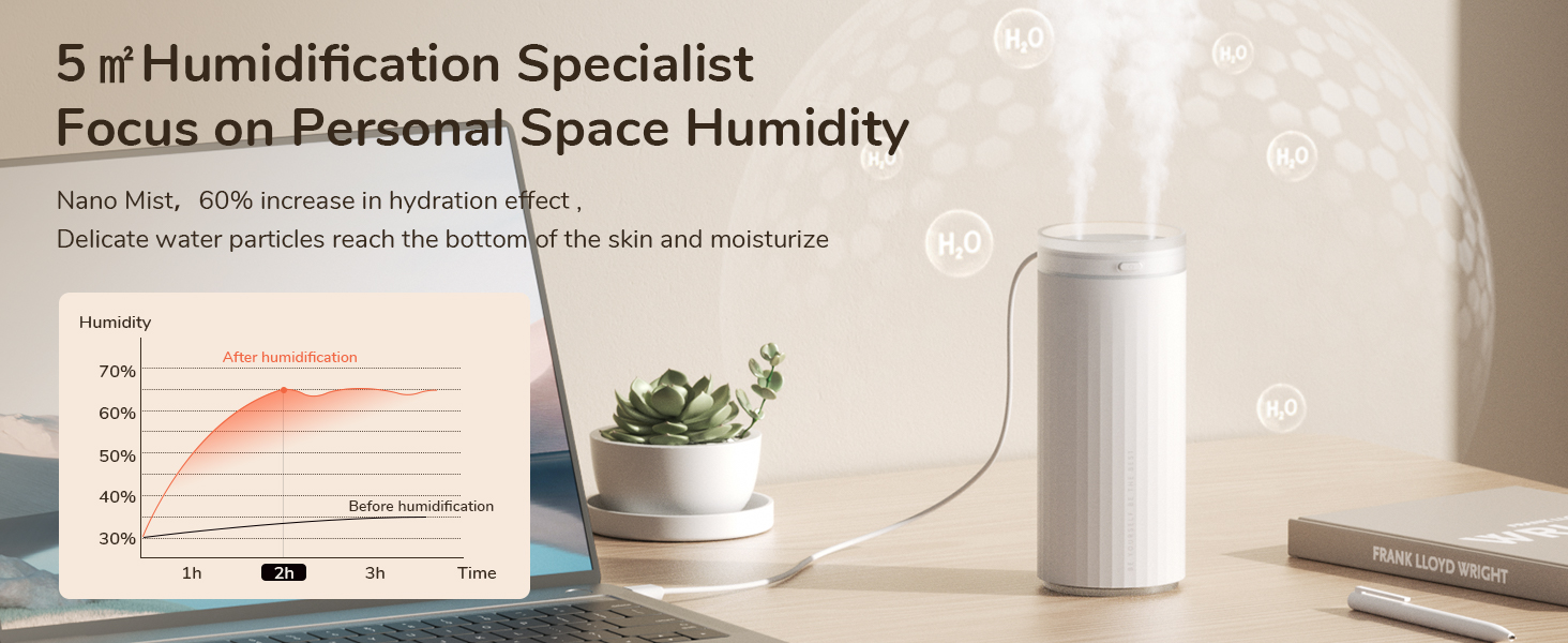 travel humidifiers