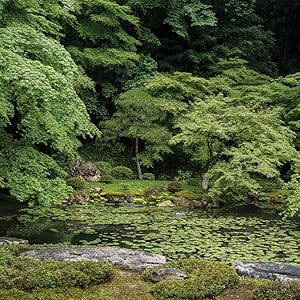Amazon.com: Gardens of Awakening: A Guide to the Aesthetics