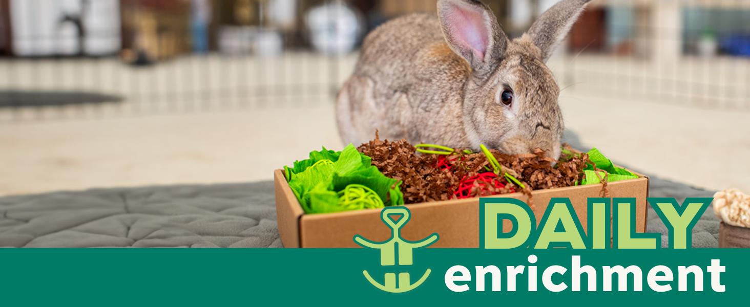 Oxbow Essentials Adult Rabbit Food, Food for Pet Rabbits, Uniform food, Bunny Food, Classroom Pet