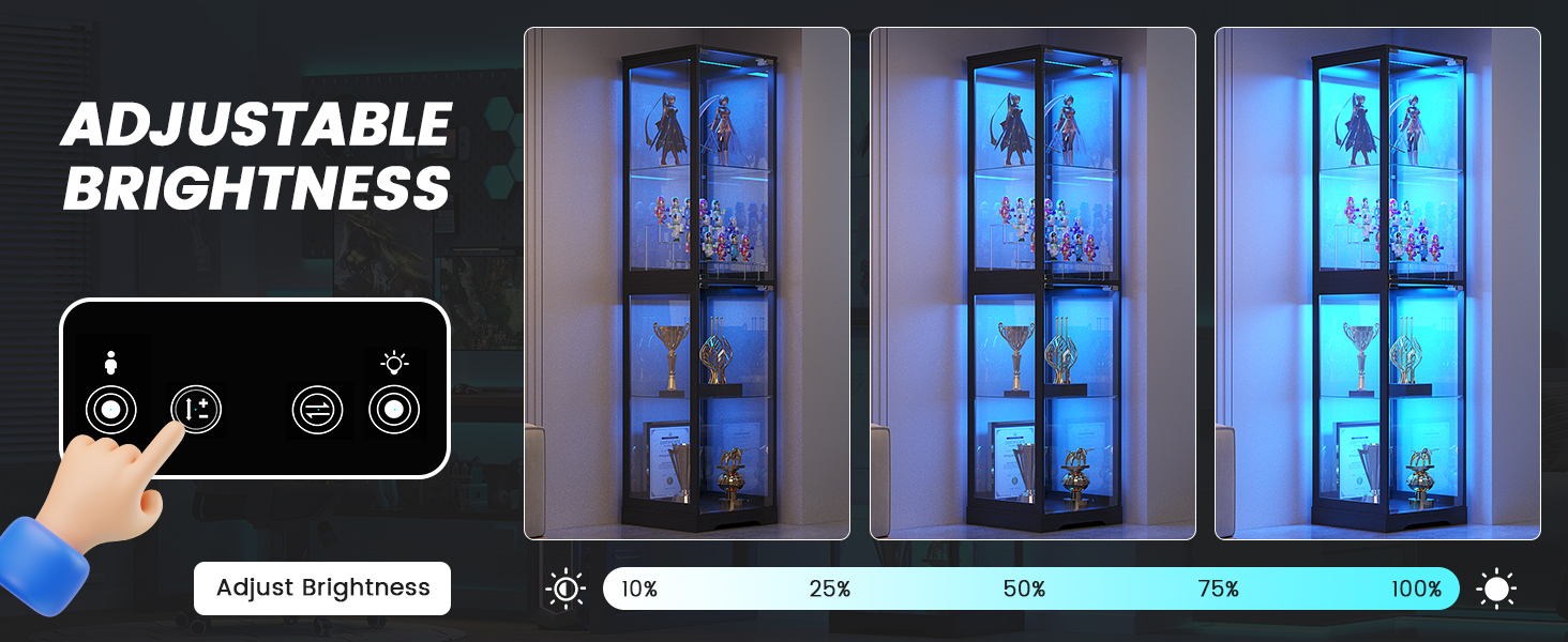 Glass Display Cabinet
