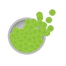 Small manufacture image 1