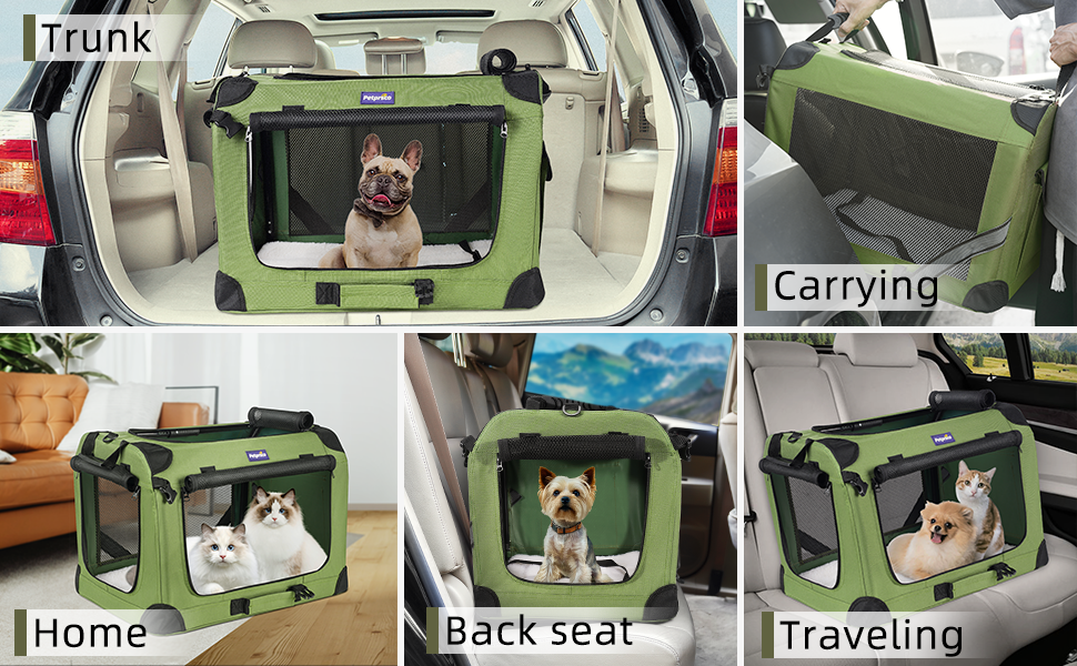 cat carrier for 2 cats