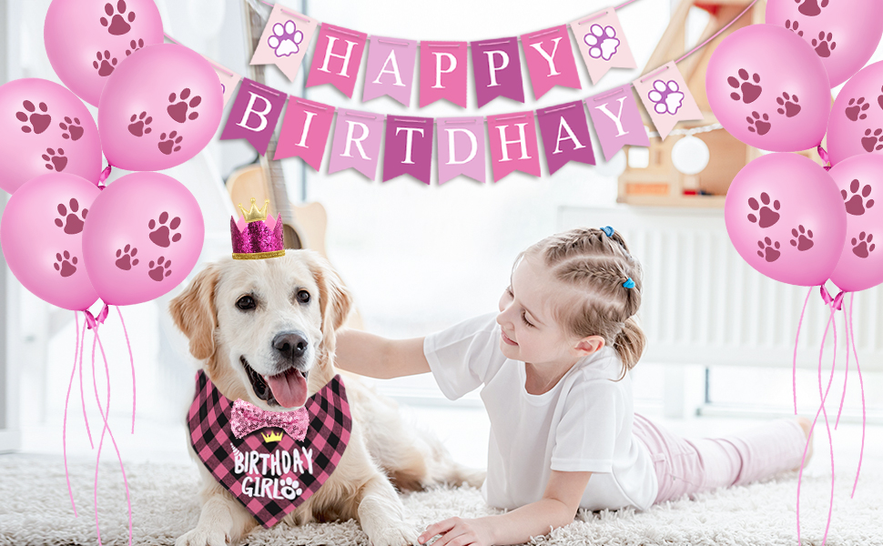 Dog Birthday Party Supplies
