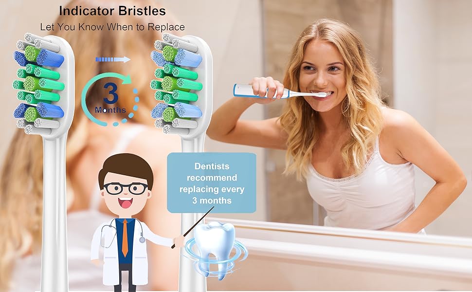 Dentists recommend replacing every 3 months