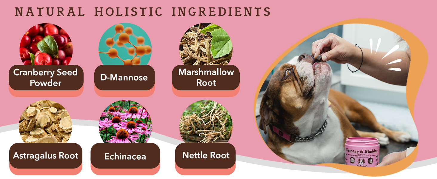 cranberry relief for dogs dog urinary supplement dog urinary tract supplement antibiotic for uti