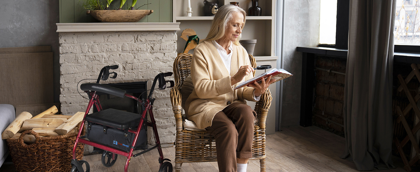 Extra Large Under Seat Rollator Bag for Folding or