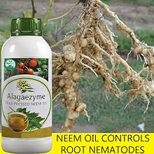 PREVENT / CONTROL ROOT NEMATODES