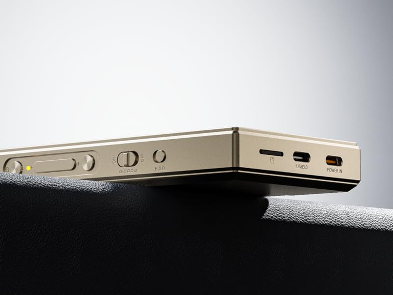 Amazon.co.jp: FIIO M21 Titanium Gold FIO-M21-G【日本正規販売
