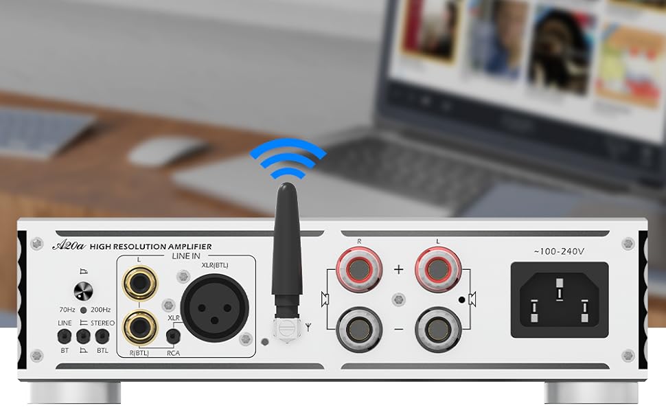 Sabaj A20a 2022 Version Power Amplifier MA5332M Chip 350W Class D