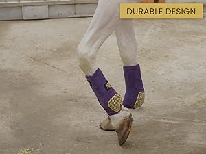 Premium Look Horse Boots , Purple Horse Boots goldline