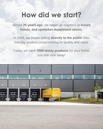 How did Homescapes start?