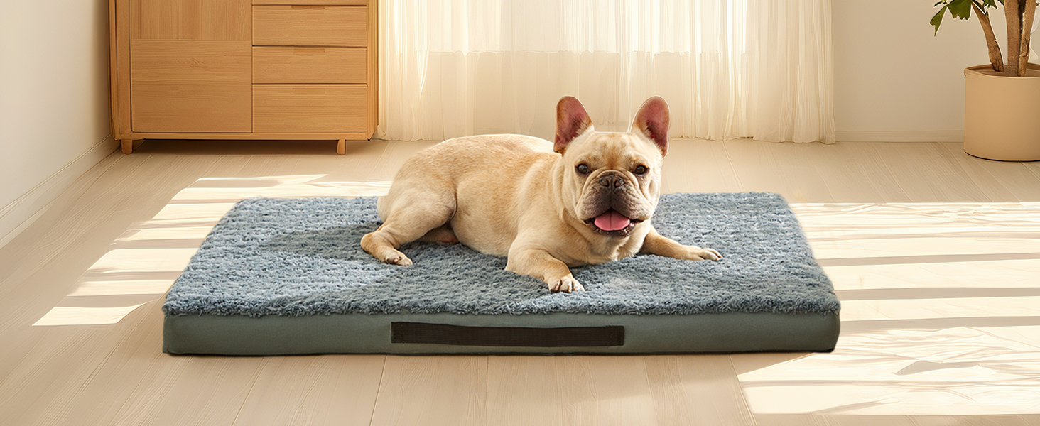 Orthopedic Dog Beds