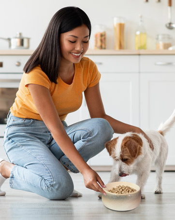 Dog Eating