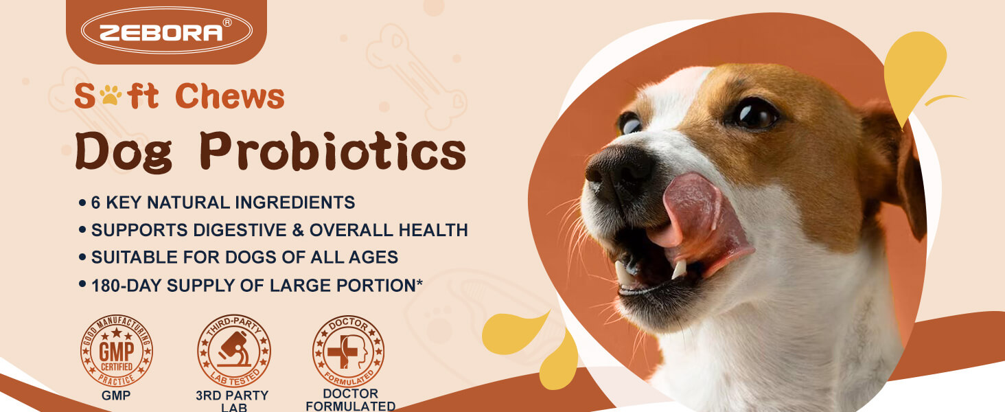 probiotics for dogs dog probiotics probiotic for dogs dog probiotics for digestive health