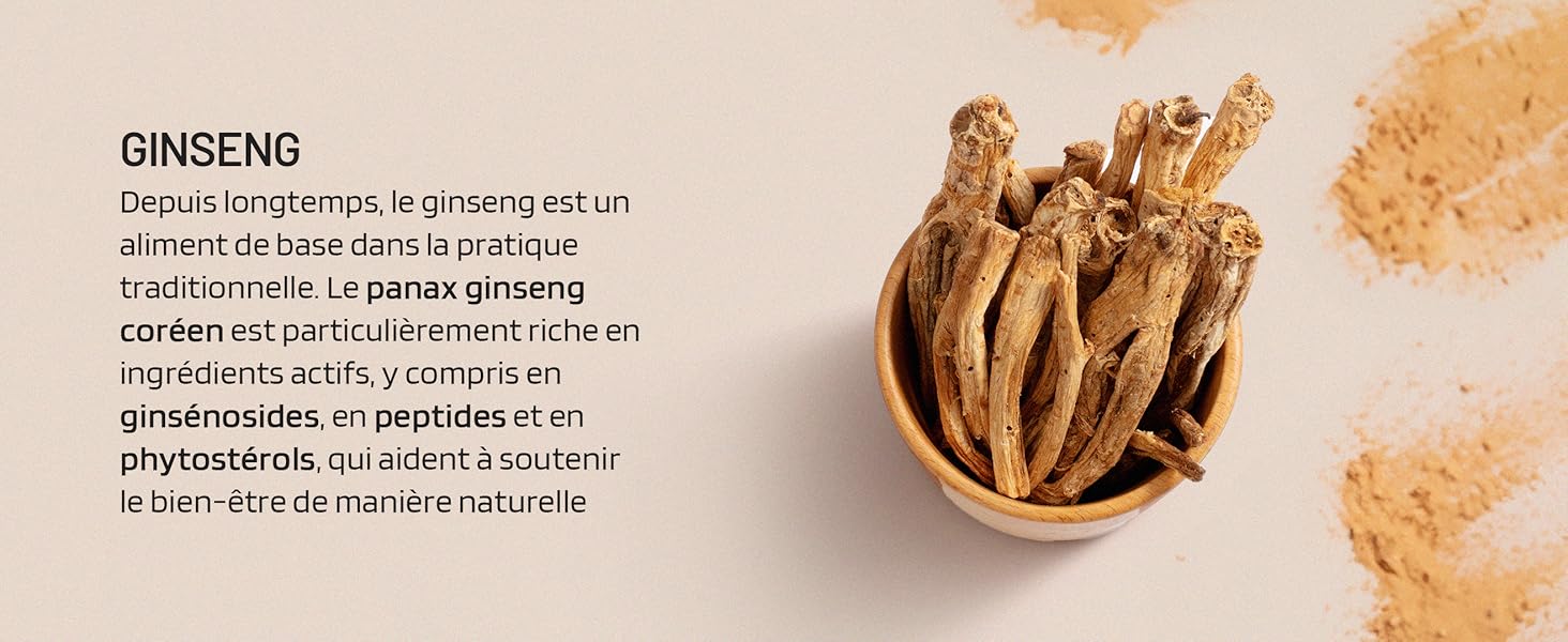 Racines de ginseng séchées dans un petit bol. Le texte décrit les propriétés et les utilisations du ginseng en français et en espagnol.
