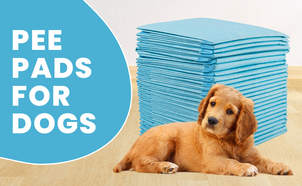 Puppy Pads Pee Pads for Dogs Potty Training Dog Pads Odor