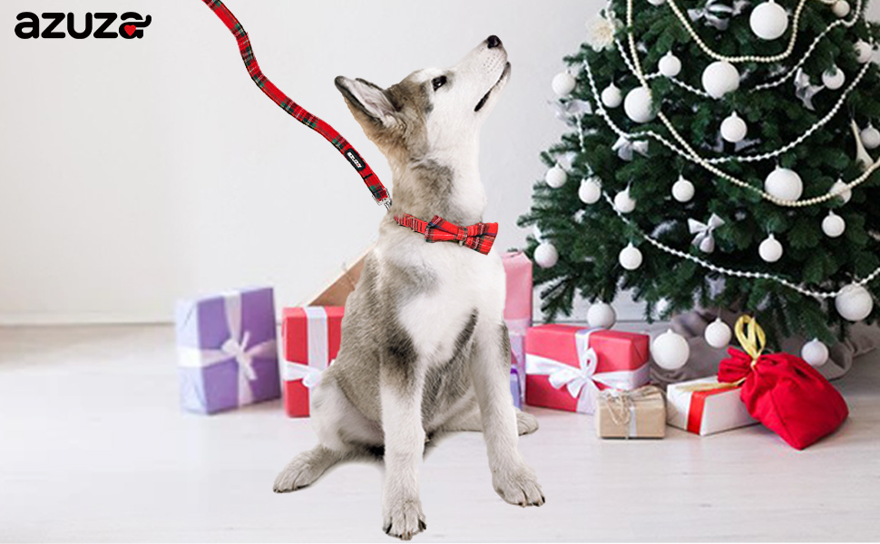 azuza Holiday Dog Collar and Leash Set, Classic Plaid