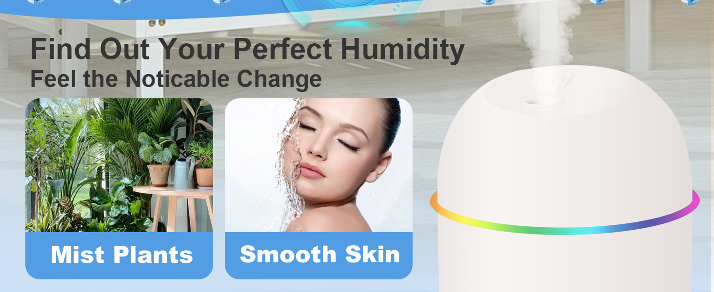 plant humidifier indoor