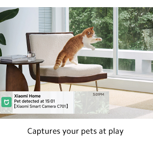 a08ffcaf 7899 4498 891e 05f2adfbb544.  CR0,0,300,300 PT0 SX300 V1    - Xiaomi Smart Camera C701